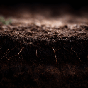 Routine Soil Macronutrients Testing