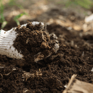 Soil Organic Matter Testing