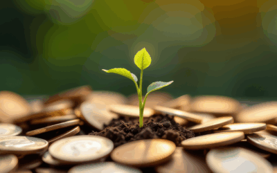 Is soil testing worth the money?